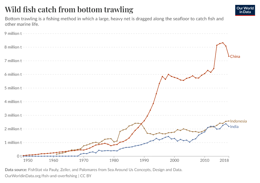 Wild fish catch from bottom trawling